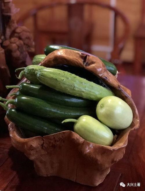 网红吃自己的瓜